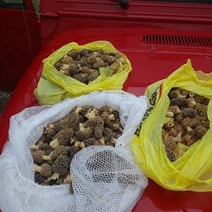 Meet your Posher, Randy